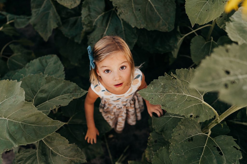 girl looking up in sunflower field 
