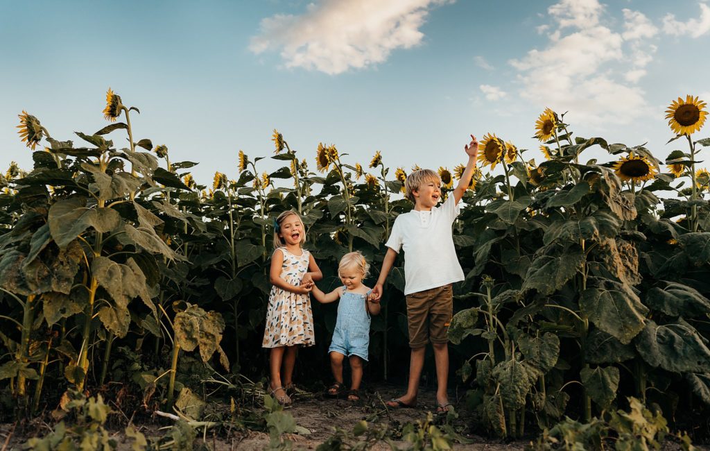 kids laughing in sunflower field during a family photo session in St.louis