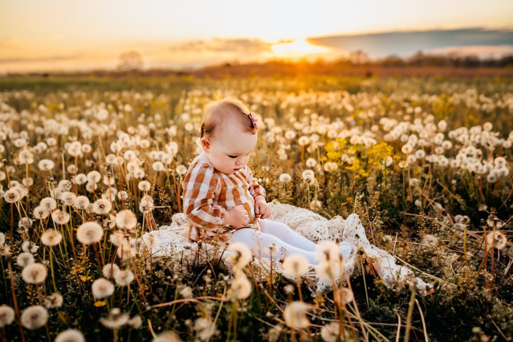 baby sitting in a field of flowers during best locations for a family session